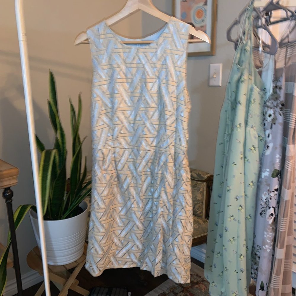 Tan and Blue Dress